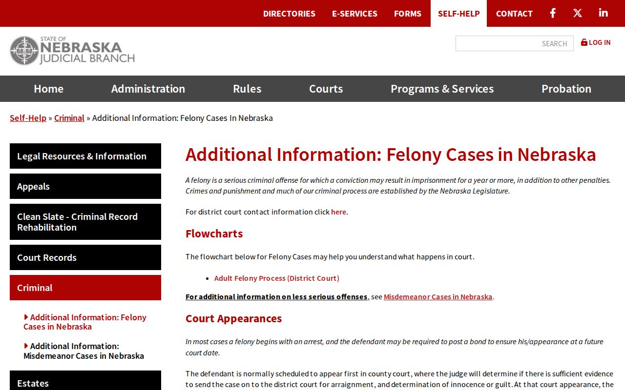 Dakota County bench warrant state felony guidance